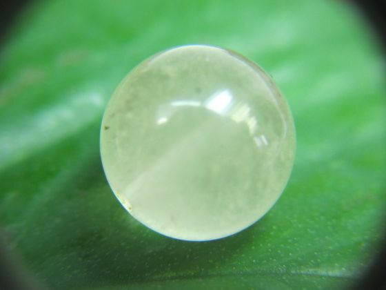 【粒売り】リビアングラスΦ12.2±0.2mm