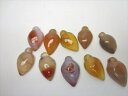 【粒売り】カーネリアンデザインカット21-23×12-14×7-8mm【10粒SET】