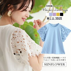 https://thumbnail.image.rakuten.co.jp/@0_mall/sunflower8/cabinet/item06/9102-1618re.jpg