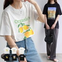 【最大40%OFFクーポン】レモン プリント Tシャツ 五分袖 オーバーサイズ カットソー 転写プリント トップス レディース コットン100% ゆったり 体型カバー 夏 プルオーバー 体型カバー 二の腕カバー