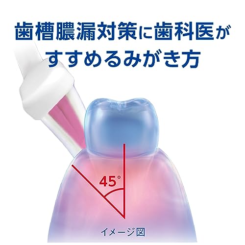 �ǥ�ȥإ륹�ϥ֥饷 �䤵�������� �ޥå����� �դĤ� 6��