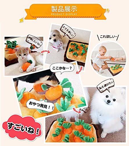 �ˤ󤸤�Ȫ �ˤ󤸤������ YCYHHHW�Ρ�������ޥå� �ΰ��� �ڥå����� ���Τ������ ���� ��ư��­ ���ȥ쥹��� �Ȥ��˲��ɻ��к�