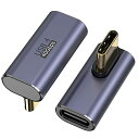 タイプC L字 USB C 変換アダプタ 2個 Type Cオスメス 90度 40Gbps高速転送 5A急速充電100W 8K@60Hz映像出力