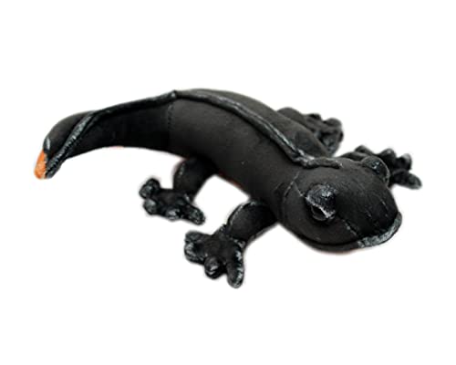 テイクオフ マグネット アカハライモリ