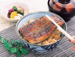 かんたん うなぎのかば焼き。日本食研 うなぎのたれ 210ml2本組