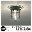 LED 照明 LED ポーチライト OG 254 608LD LEDライト 外灯 屋外 門灯 ODELIC オーデリック