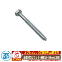窓 防犯 面格子 たて面格子LA 壁付けタイプ 専用オプション 厚壁用ねじセット 部品のみ AHY-BE3-10 YKKap