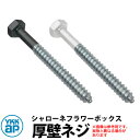 YKKap シャローネフラワーボックス専用 厚壁ネジセット 壁飾り アイアン調 全2色 46〜56mmまで対応 シャローネ関連商品 おしゃれ クール シンプル ...