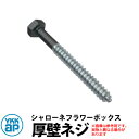 YKKap シャローネフラワーボックス専用 厚壁ネジセット 壁飾り アイアン調 B7カームブラック 46〜56mmまで対応 シャローネ関連商品 おしゃれ クール...