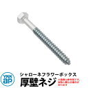 YKKap シャローネフラワーボックス専用 厚壁ネジセット 壁飾り アイアン調 YWホワイト 46〜56mmまで対応 シャローネ関連商品 おしゃれ クール シン...