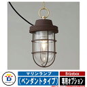 宅配ボックス 大容量 一戸建て用 おしゃれ ブライズボックス 専用オプション マリンランプ (ペンダントタイプ) BOWCS ボウクス イギリス 宅配ポスト シ...