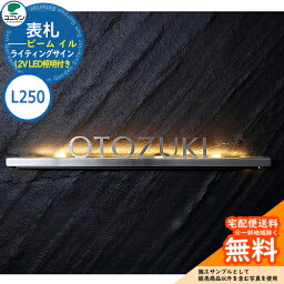 表札 戸建て おしゃれ ステンレス 表札 ライティングサイン ビーム イル L250 BEAM ILL 12V LED照明付き（トランス別売） ユニソン 国産 ネームプレート シンプル 玄関 庭 可愛い 新居 新築 エクステリア リフォーム お祝い プレゼント 人気