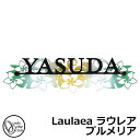 表札 ステンレス表札 Laulaea ラウレア プルメリア AG1-LAU02 W200×H55×D20mm オンリーワンクラブ ステンレスレザーカット