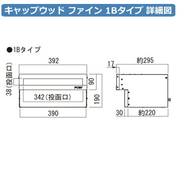 郵便ポスト 郵便受け キャップウッド ファイン 1Bタイプ 大型配達物対応 埋め込み式ポスト オンリーワンクラブ KS1-B187