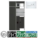 機能門柱 機能ポール マイスタイル門柱 宅配ボックス付タイプ BTタイプ ブラック 表札レイアウト：B インターホン別売 オンリーワン 門柱 ポスト