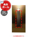三協アルミ ワンダーライト 角型ポール HBE-DT2P ポールのみ 別途LED電球必要 かわいい おしゃれ クール シンプル 戸建て 玄関 庭 新築 新居 リ...