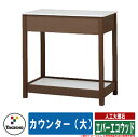 流し台 屋外用 シンク エバーエコウッド カウンター(大) タカショー ガーデン 庭 おしゃれ