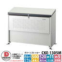 ゴミ箱 ダストボックス クリーンストッカー スチールタイプ CKE-M型 CKE-1305M型 業務用 ゴミ収集庫 クリーンボックス CKE-1305M ダイケン 戸建て 集合住宅 マンション アパート 店舗 大型 ごみ 集積所 新居 新築 玄関 庭 お祝い