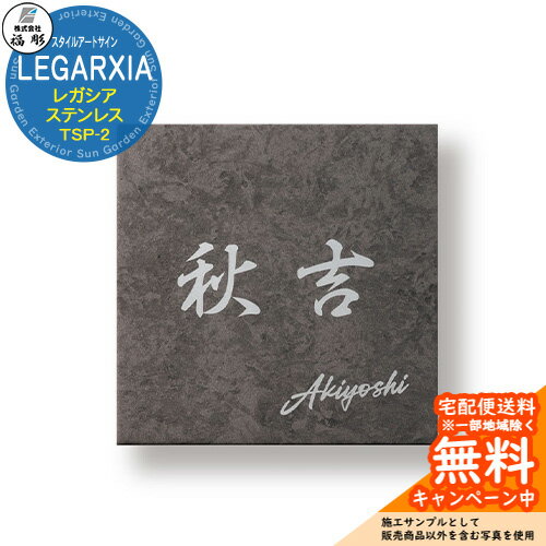 ɽ�� ������ �������륢���ȥ����� LEGARXIA �쥬���� ���ƥ�쥹 TSP-2 ʡĦ ɽ�����ߥ�졼������б� ���� ������� �ͷ� ����