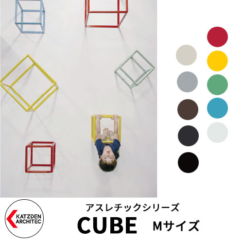 カツデンアーキテック CUBE キューブ Mサイズ 家庭用アスレチックシリーズ イメージ：全10色 運動器具 TXフリー トルエンキシレン非含有 機械構造用炭素鋼鋼管