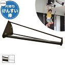 カツデン 片持ちけんすい棒 家庭用アスレチックシリーズ 全2色 運動器具 TXフリー トルエンキシレン非含有 機械構造用炭素鋼鋼管 おしゃれ カッコいい クール...