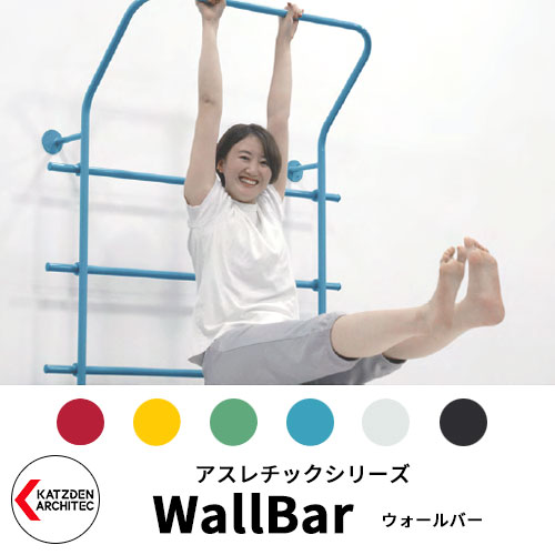 カツデンアーキテック WallBar ウォールバー 家庭用アスレチックシリーズ イメージ：全7色 運動器具 TXフリー トルエンキシレン非含有 機械構造用炭素鋼鋼管