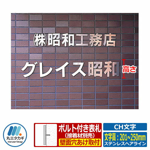 表札 切り文字表札 CH文字 ステンレスヘアライン 文字高：201～250mm 丸三タカギ 看板 銘板 立体文字 ..