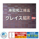 表札 切り文字表札 CH文字 ステンレスヘアライン 文字高:251〜300mm 丸三タカギ 看板 銘板 立体文字 ステンレス表札 企業用 会社用 工業用 マンシ...