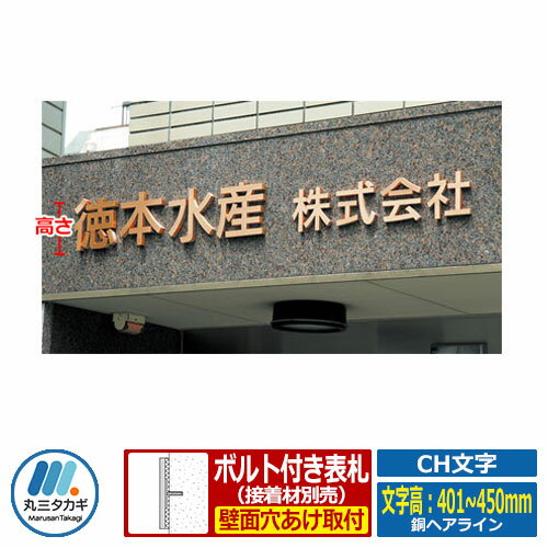 表札 切り文字表札 CH文字 銅ヘアライン 文字高：401～450mm 丸三タカギ 看板 銘板 立体文字 企業用 会社用 工業用 マンション用 商業用 業務用 屋号 家号 サイン ネームプレート
