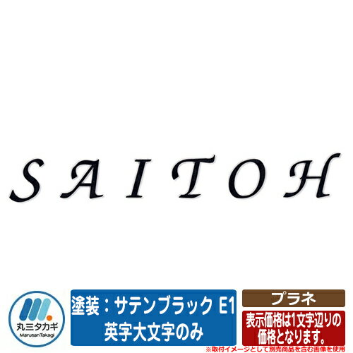 表札 おしゃれ プラネ 塗装：サテンブラック E1 英字大文字のみ （文字数で価格が異なります。） イエロゴ IELOGO 丸三タカギ ステンレス表札 表札シミュレーション対応