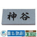 表札 おしゃれ 天然石 M:黒ミカゲ石 塗装:なし(浮かし彫り) イエロゴ 丸三タカギ 表札シュミレーション対応