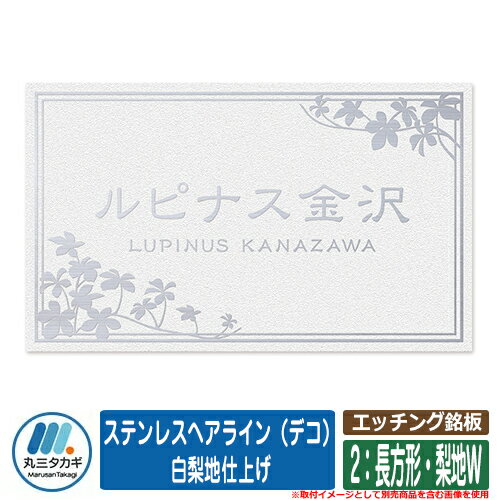 表札 おしゃれ エッチング銘板 2：長方形・梨地W ステンレスヘアライン（デコ） 白梨地仕上げ 塗装：不可 イエロゴ IELOGO 丸三タカギ 表札シュミレーション対応