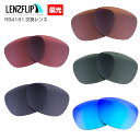 Ray-Ban RB4181 Polarized Lenses レイバン サングラス交換偏光レンズ