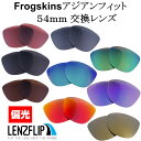 オークリー フロッグスキン アジアンフィットOakley Frogskins Asian-Fit レンズサイズ：54mm Polarized Lenses サングラス 交換 偏光レンズLenzFlipオリジナルレンズ