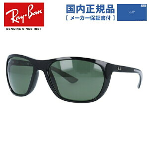 レイバン サングラス Ray-Ban 偏光レンズ G-15 グリーンレンズ RB4307 601/9A 61 レギュラーフィット スクエア型 メンズ レディース RAYBAN ドライブ 運転 アウトドア レジャー ブランドサングラス UVカット メガネ 眼鏡 海 山 川 度付き対応HC 【国内正規品】