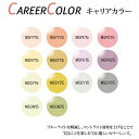 【染色カラーオプション】※HOYA専用※ CAREER COLOR キャリアカラー ブルーライトをカットする効果のある染色カラー テレビ パソコン スマートフォン ブルーライトカット 度付き 度あり 度なし 伊達 サングラス 眼鏡 メガネ レンズ交換費無料 他店フレーム交換対応