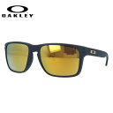 【訳あり】オークリー 偏光 サングラス OAKLEY ホルブルック XL レギュラーフィット HOLBROOK XL OO9417-2359 59サイズ プリズ...