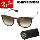 レイバン サングラス Ray-Ban ブランド RB4171F 865/13 54サイズ レディース メンズ エリカ ERIKA UVサングラス ※沖縄除く ブランド UVカット 紫外線カット スポーツ アウトドア ドライブ おしゃれ シンプル プレゼント ギフト 誕生日 保証書付き