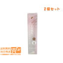 2個セット ファシオ ウォータープルーフ アイブロウ 細芯 02 ブラウン 0.1g 追跡配送 送料無料