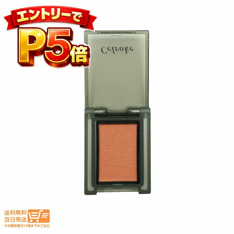 樂天商城 - エントリーでP5倍 【国内正規品】Celvoke セルヴォーク ヴォランタリー アイズ #26 アイシャドウ