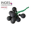 INGE-GLAS MAGIC(インゲグラス マジック)ドイツ直輸入 ブラックベリーボールガラスオーナメント ブラック(シャイニー・マット)1セット12個入[2...