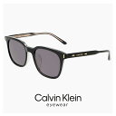 カルバンクライン サングラス ck23551slb 003 calvin klein メンズ レディース ユニセックス モデル ウェリントン 型 UVカット U...