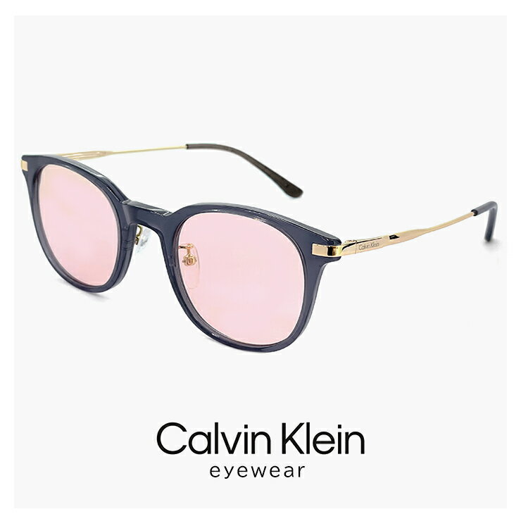 カルバンクライン サングラス ck24529slb 021 49mm calvin klein メンズ レディース ユニセックス モデル ウェリントン 型 UVカット UV400 紫外線対策 カルバン・クライン コンビネーション フレーム クリアダークグレー ライトカラー レンズ