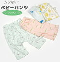 【3枚セット】ベビーパンツ チェック レモン ベビーズボン 新生児パンツ 赤ちゃんボトムス 通気性 70-100cm 出産祝い ベビープレゼント|実用的ギフト洗...