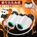 【SALE限定!クーポンで1,980円】双眼鏡 コンサート 10倍 ライブ用 防振 めがね対応 推し活 オペラグラス ライブ ドーム コンサート用 高倍率 スポ...