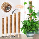 2個セット　植物サポート　ココスティック 連結 モンステラ支柱 観葉植物 支柱　登山植物 水分 頑丈 耐久 植物ラベル 植物成長 花支え ガーデン 延長 農業用 フラワー支柱 円形 おしゃれ 2023xh-ab178