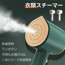 チームアイロン 衣類スチーマー ドライ&スチームアイロン両用 高温除菌 脱臭 軽量 小型 シワ伸ばし 携帯アイロン 水漏れ防止 過熱保護 コンパクト 持ち運び便...