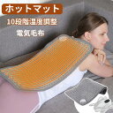 ホットマット 給電式 電気ひざ掛け 電気毛布 湯たんぽ お腹 ヒーター 10段階温度調整 タイマー機能 延長コード 洗える 丸洗い可能 電熱 即温保温 キャンプ...