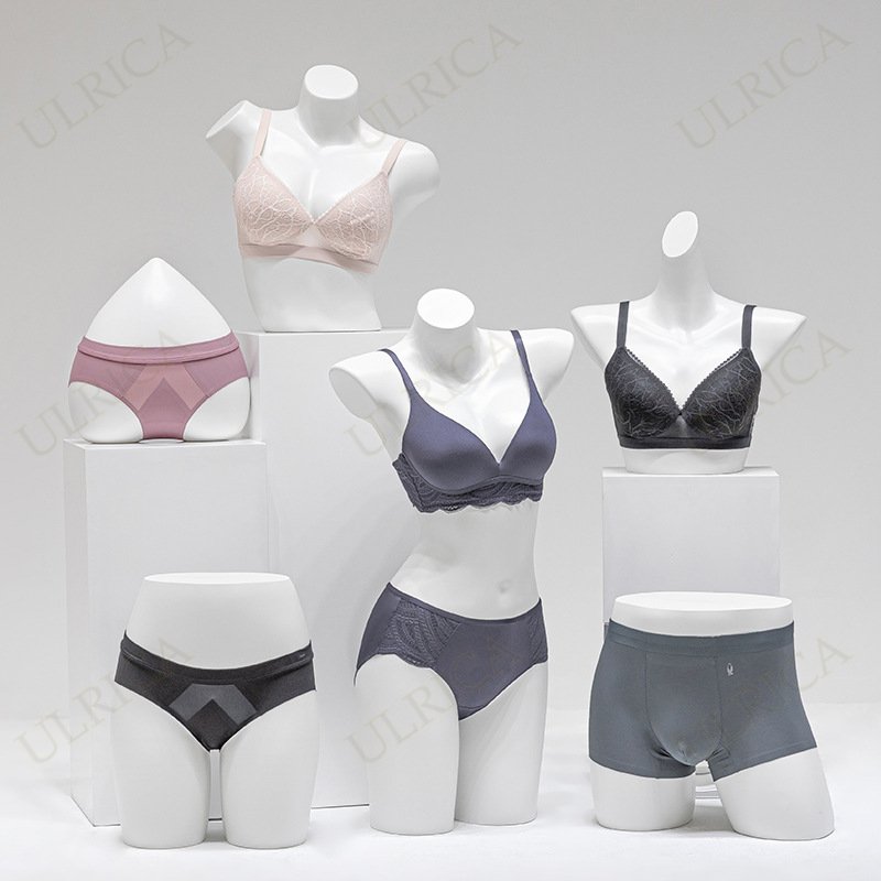 マネキン トルソー レディース 展示会 コーディネート ファッション アパレル 女性型 パンツ対応 ブラジャー対応 レディーストルソー 洋裁用 女 婦人服 婦人 ハンガー 採寸 販売撮影 インテリア ディスプレイ オークション rtmt-ab05