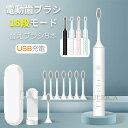 電動歯ブラシ 音波式 水洗い 防水IPX7 替えブラシ8本 音波歯ブラシ 歯ぶらし 本体 ソニック 人気 おしゃれ 家族 はみがき はぶらし 電動歯ぶらし デン...